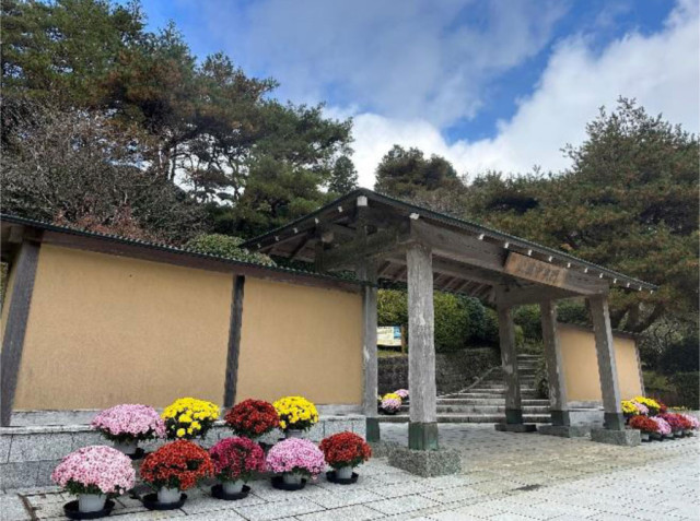 【県立恩賜箱根公園】恒例イベント「秋のざる菊展」を開催します！